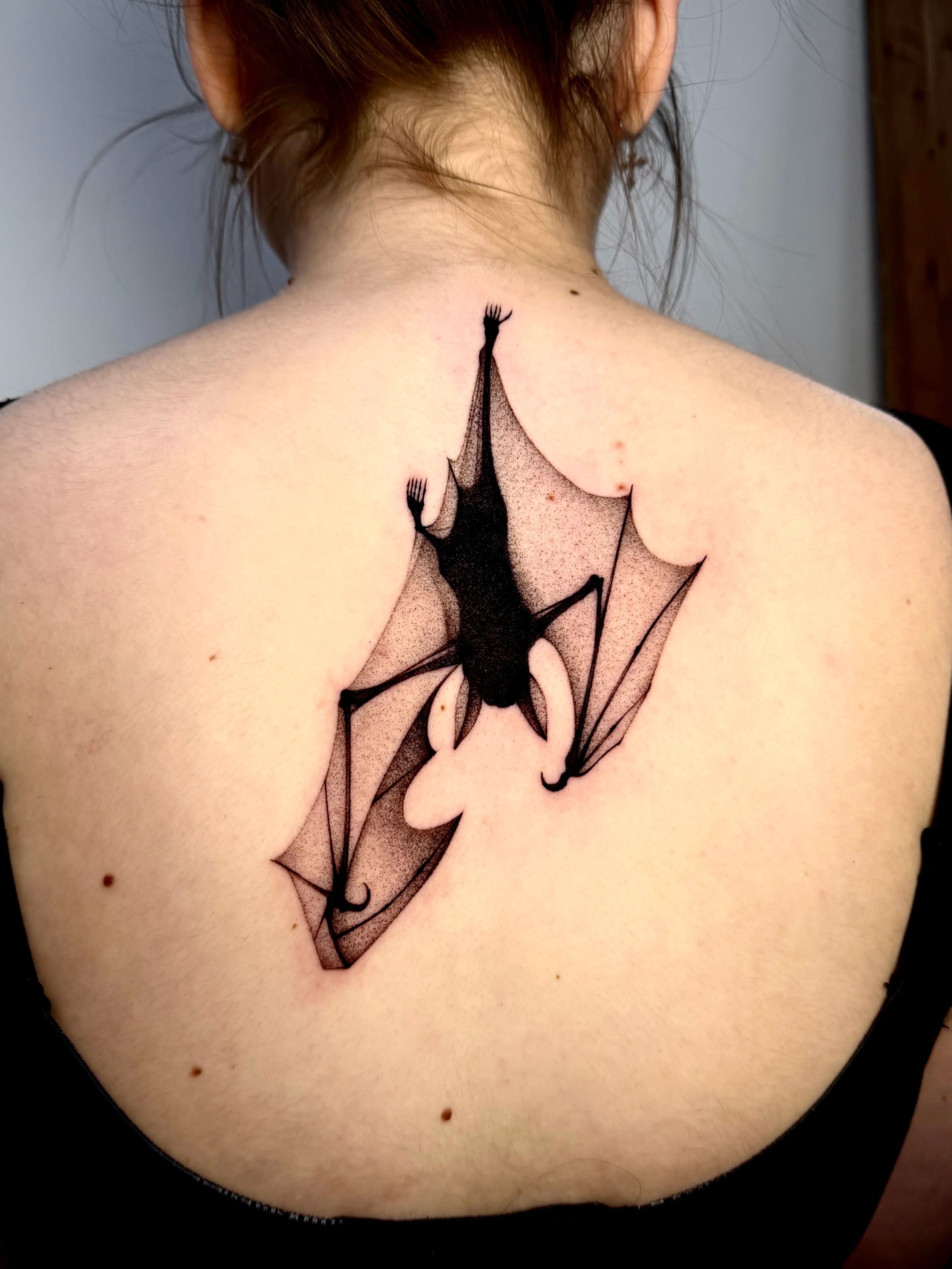 Dragon, 박쥐