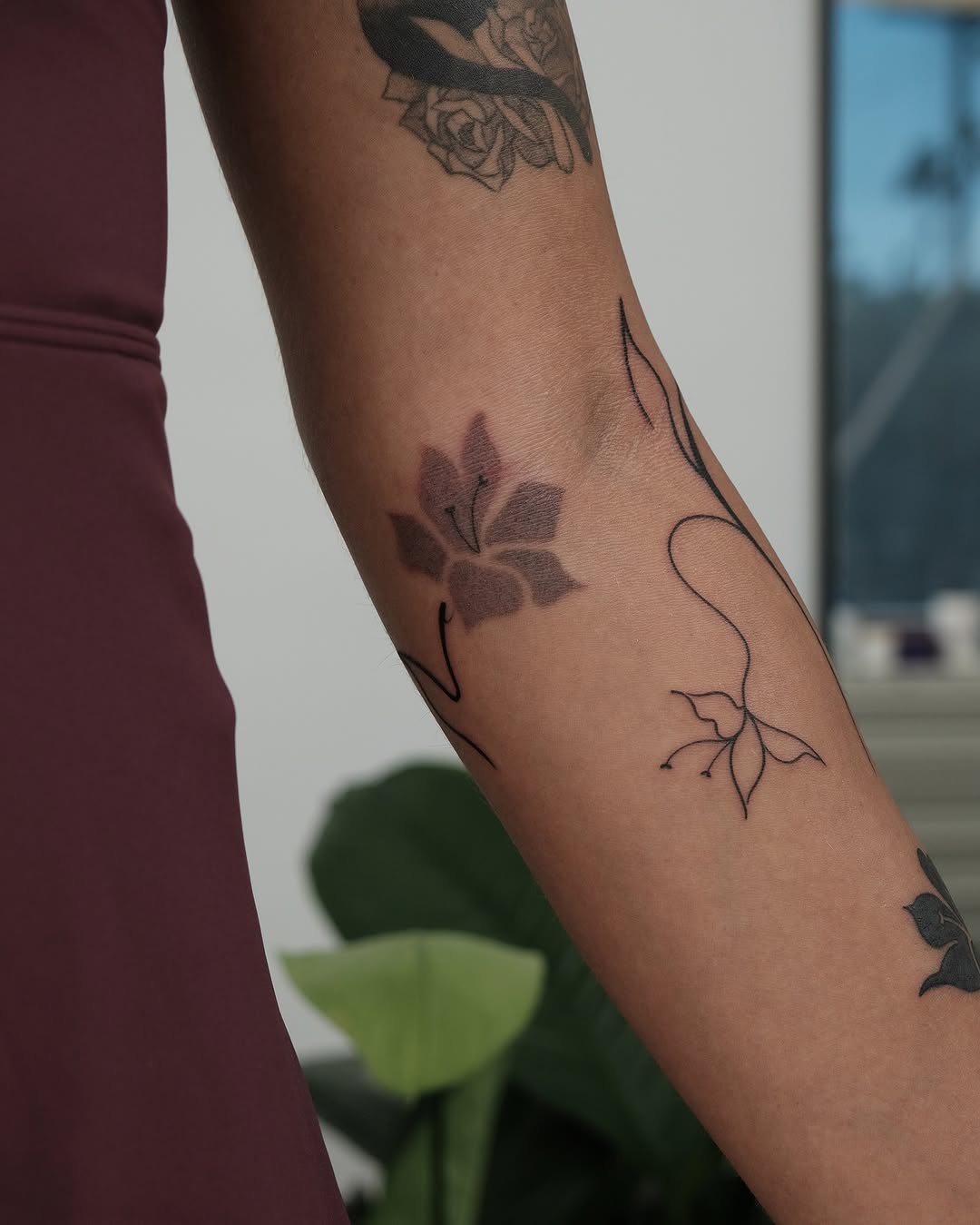 Flower, Rose