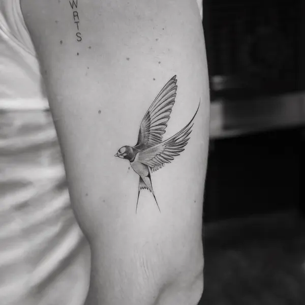 mnsantanatattoo
