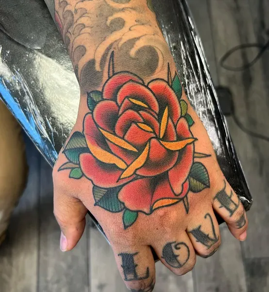Flower, Rose