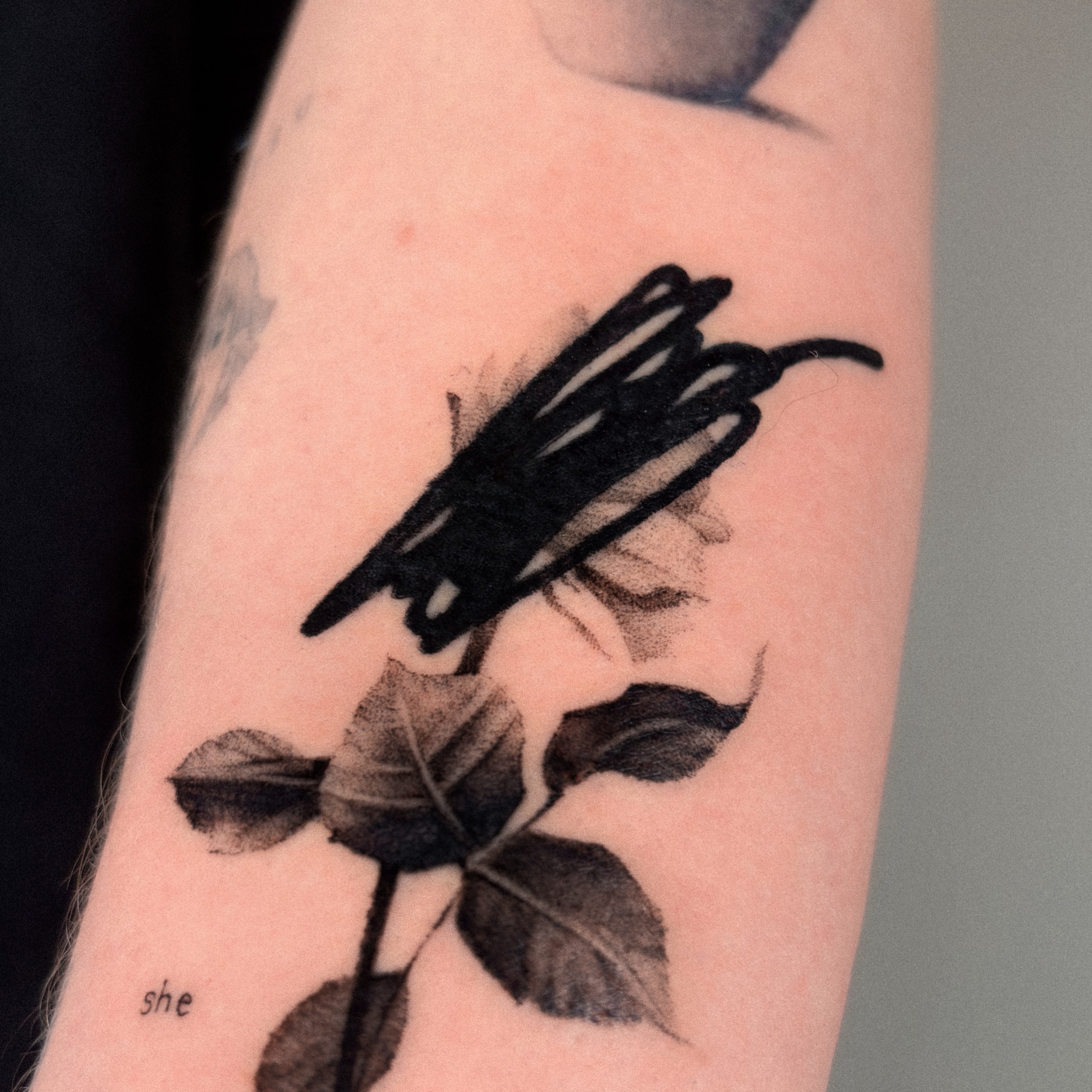 Flower, Rose