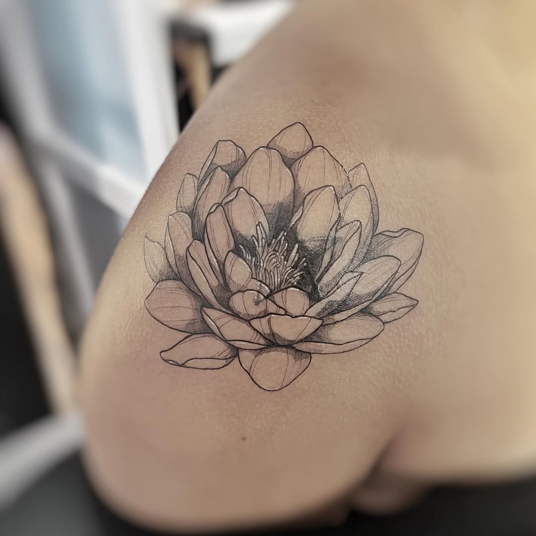 연꽃, 한국 연꽃, 연꽃 만다라, 탄생화, Flower