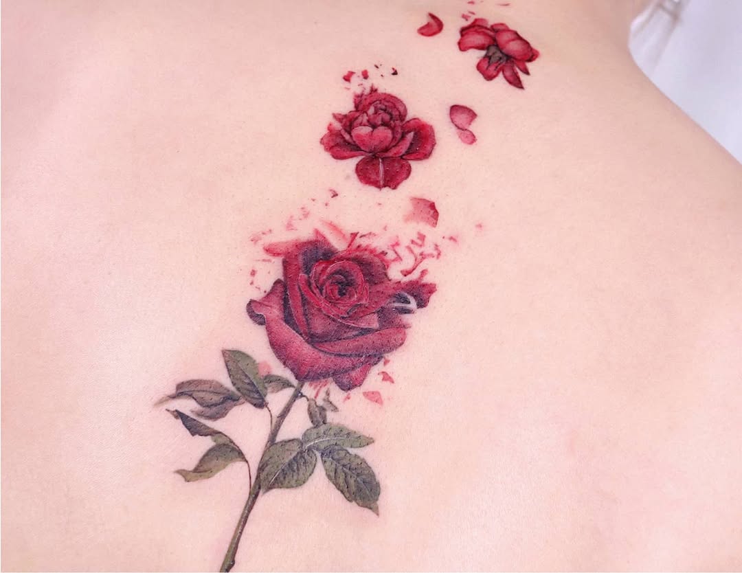 Flower, Rose