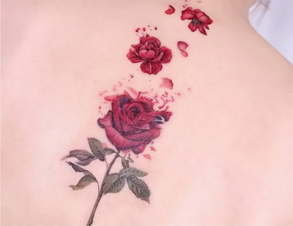 Flower, Rose