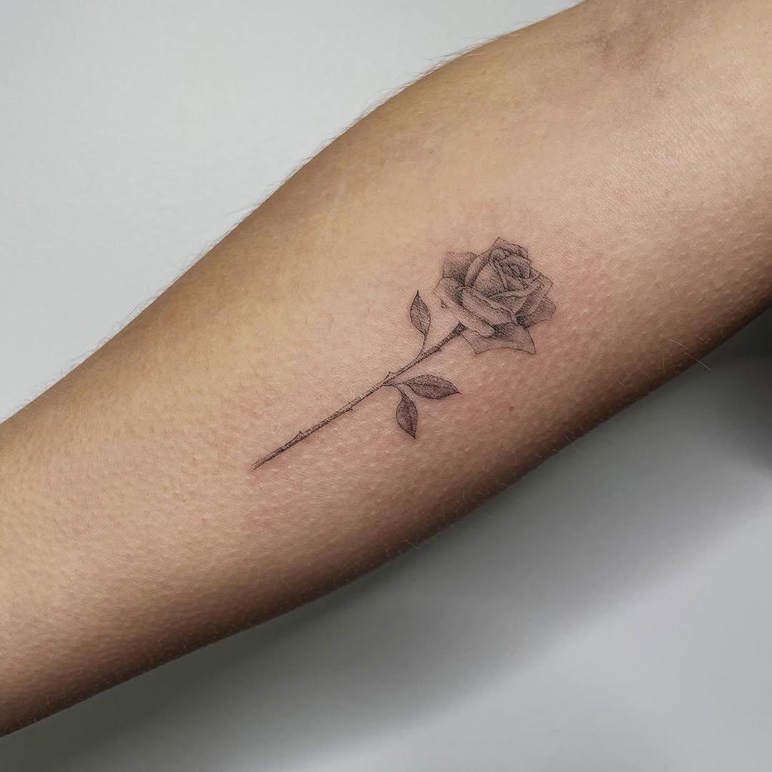 Flower, Rose