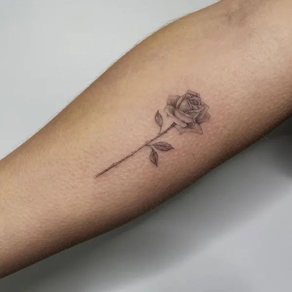 Flower, Rose