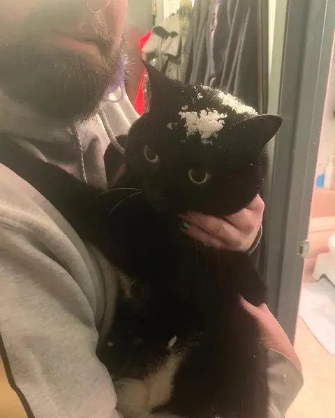 tattoosbyarchie
