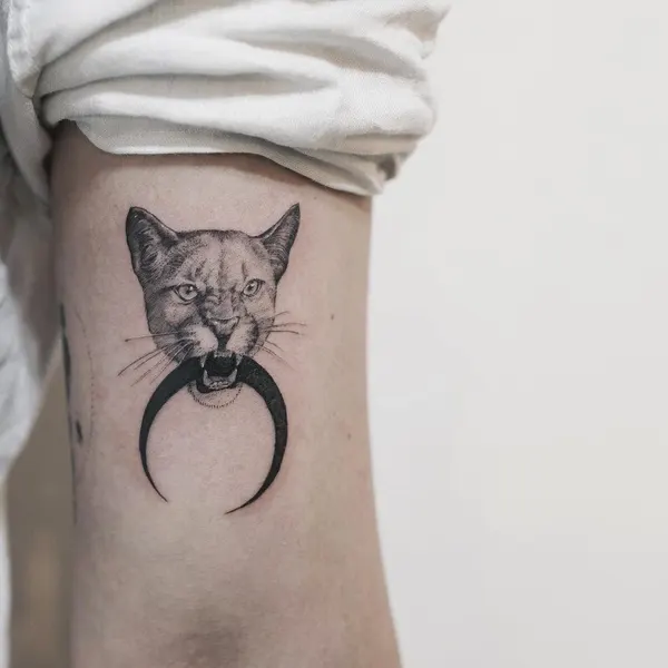 Animal