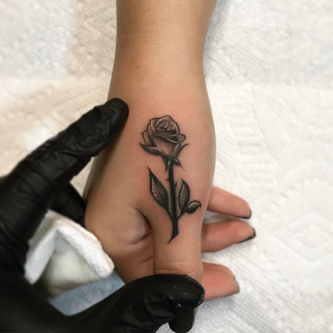 Flower, Rose
