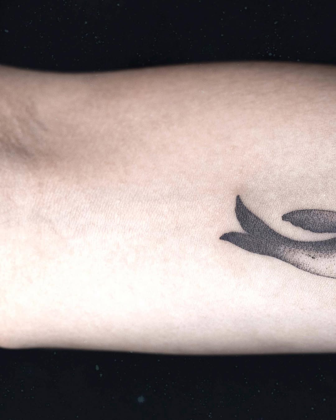 soltattoo