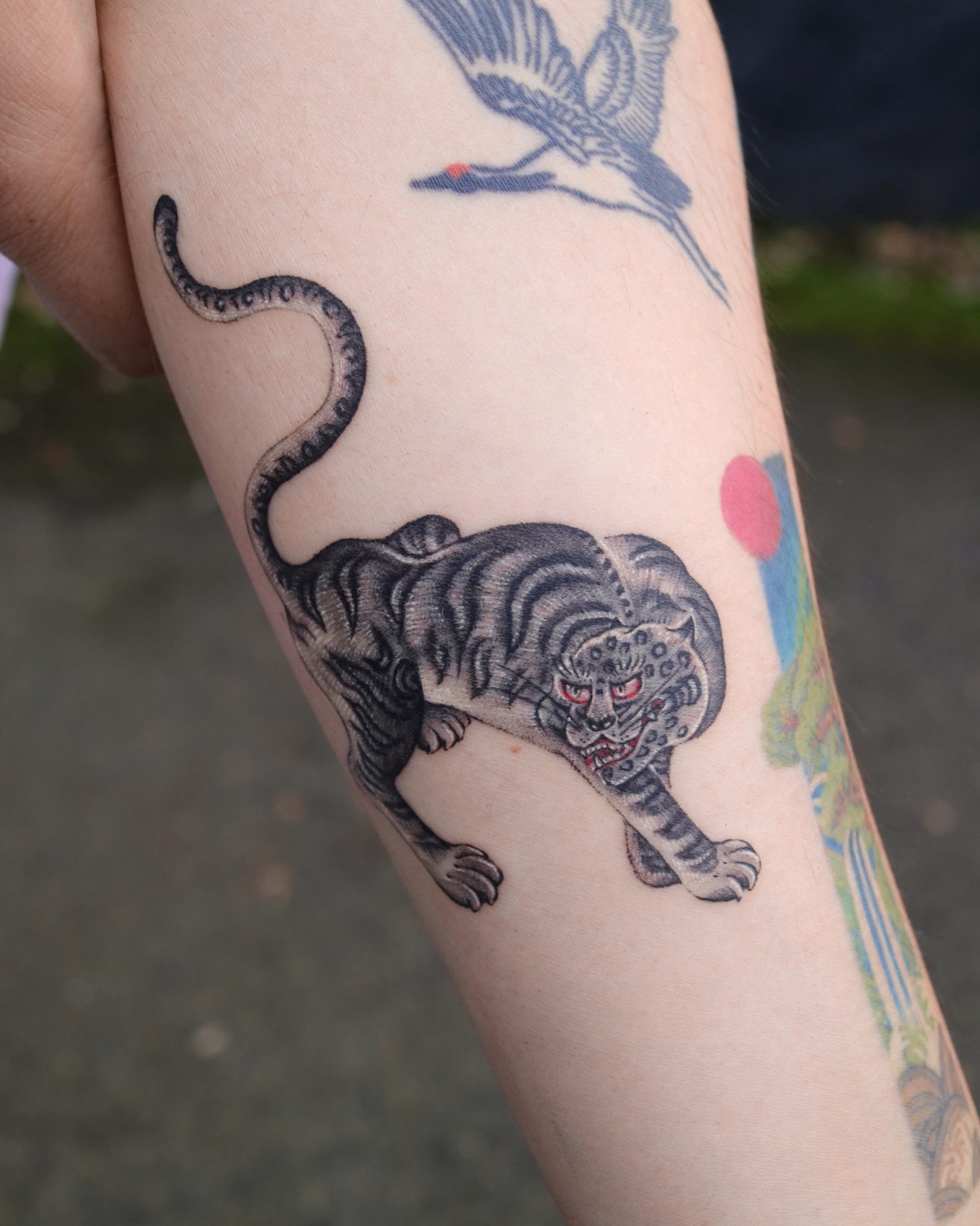 Tiger