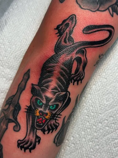 Tiger, Animal