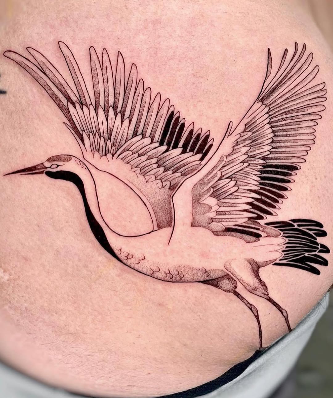 Full Circle Tattoo