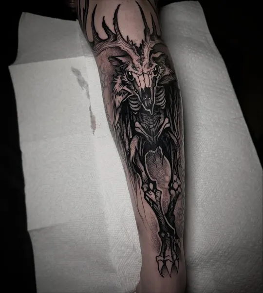 Dragon, Animal