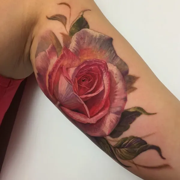 Flower, Rose