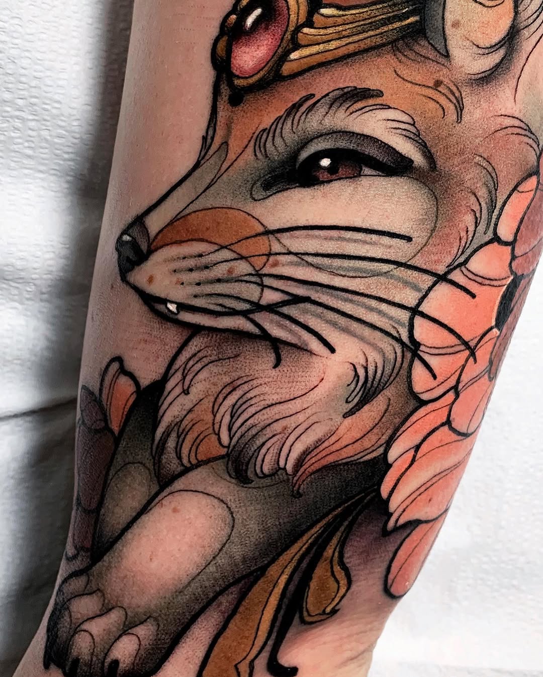 Animal, 여우