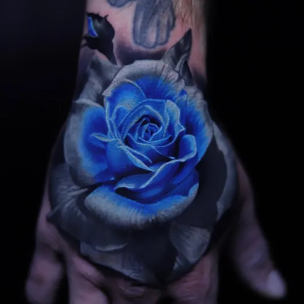 Flower, Rose