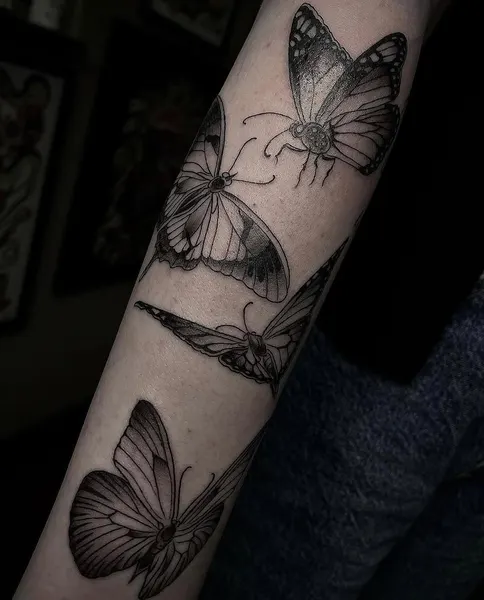 Animal, Nature