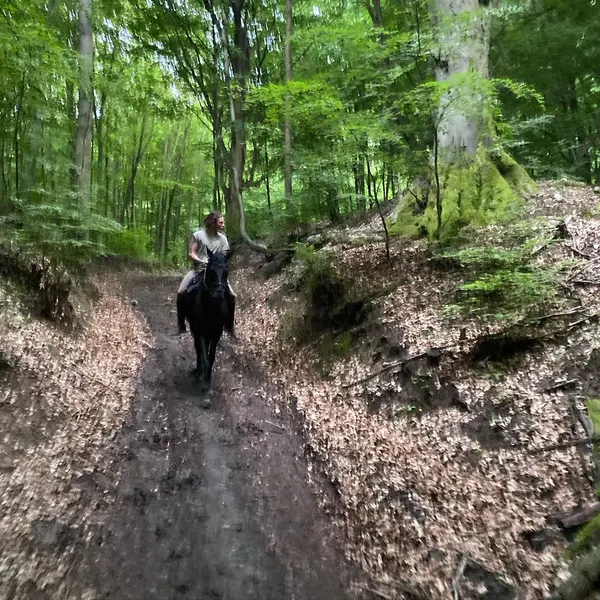 balazsbercsenyi