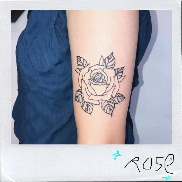 Flower, Rose