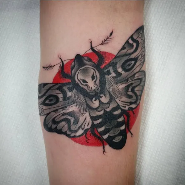 Animal, Nature