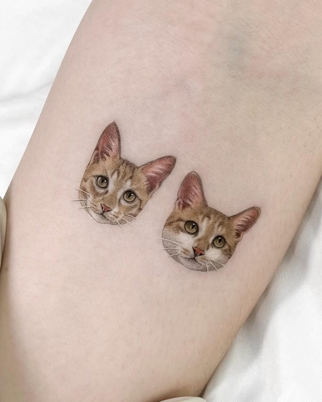 dorok.tattoo