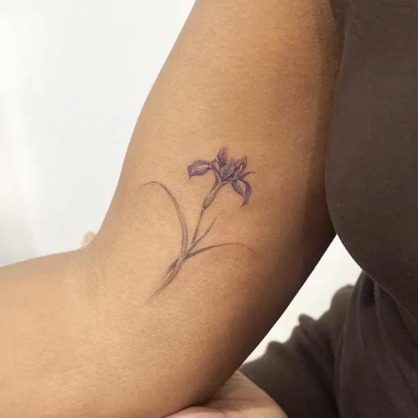 Flower, 국화, 난초, 라벤더, 수선화, 야생화, 탄생화, 아이리스, 허브, 카네이션