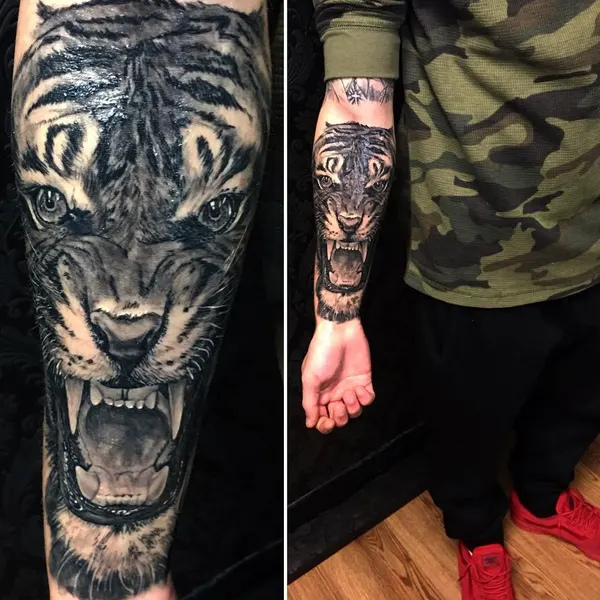 Tiger
