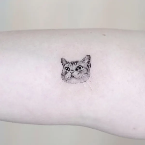 고양이, 여우 가면