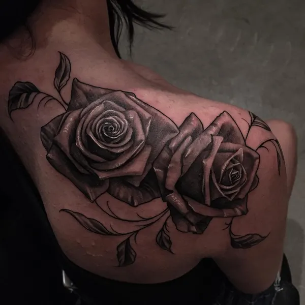 Flower, Rose, Nature