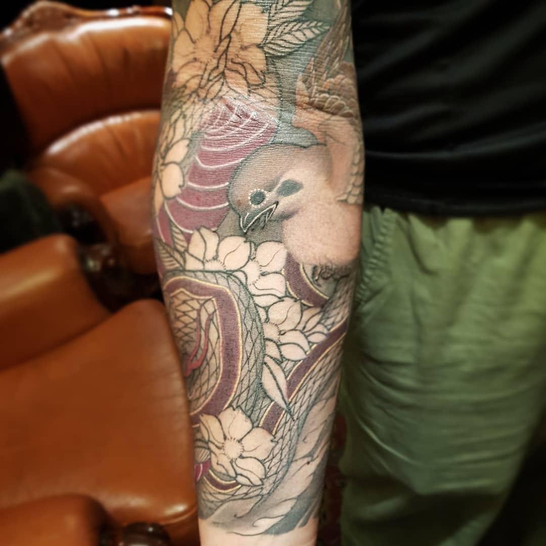 Dragon, Animal