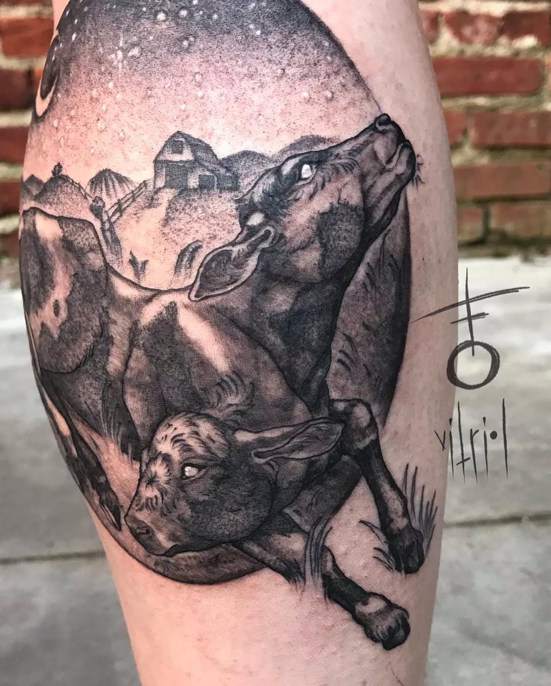 vitrioltattoo