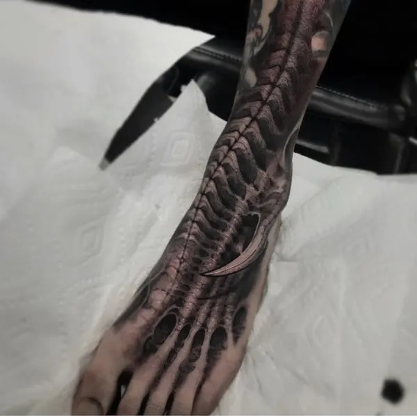 Dragon