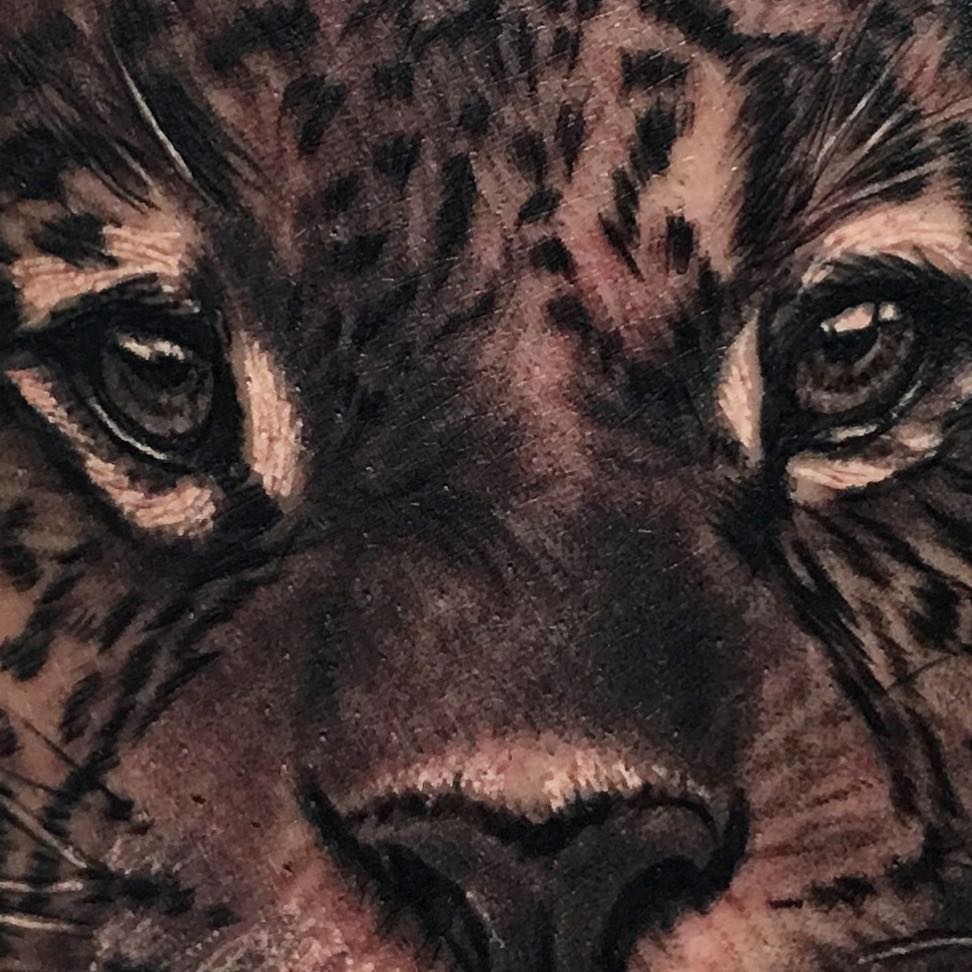 Animal