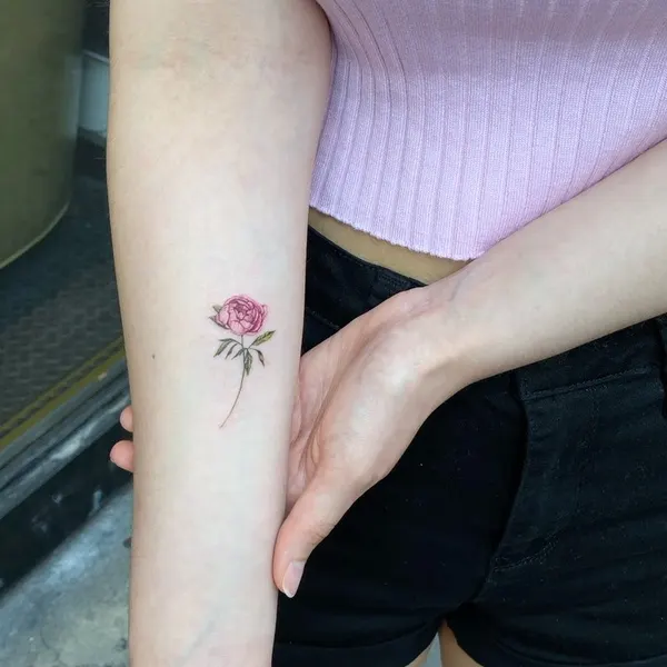 Flower, Rose