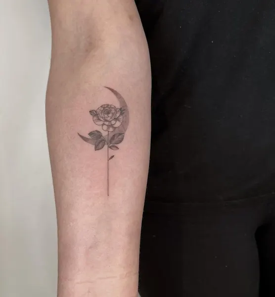 Flower, Rose