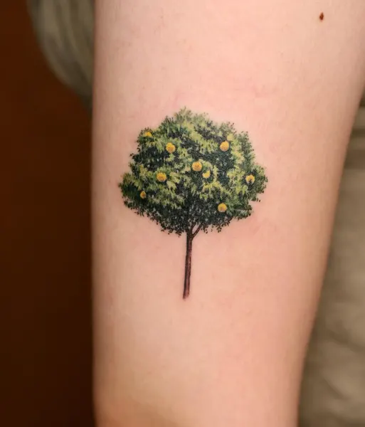 Nature, 나무, 소나무, 숲, Flower