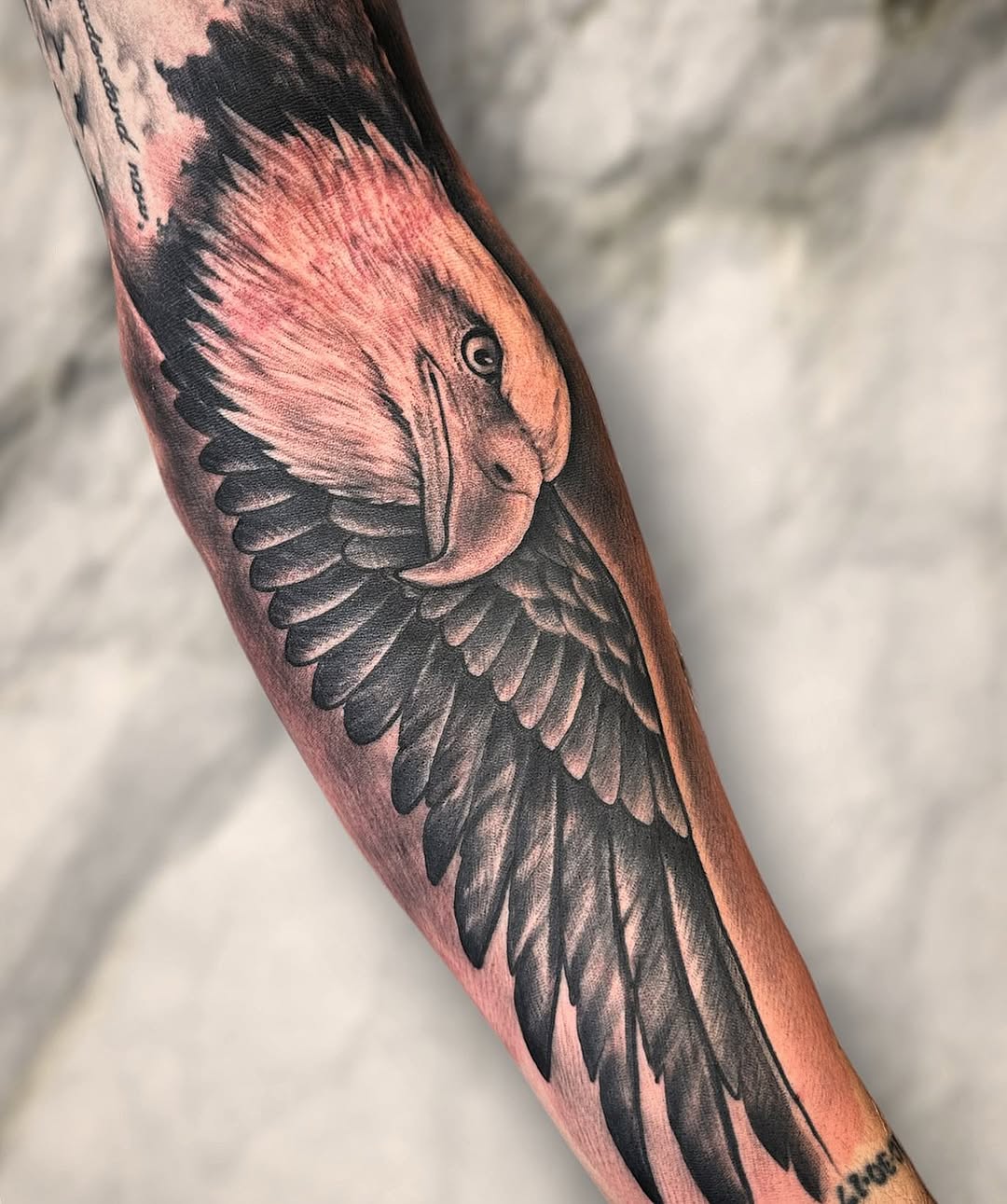timbecktattoos