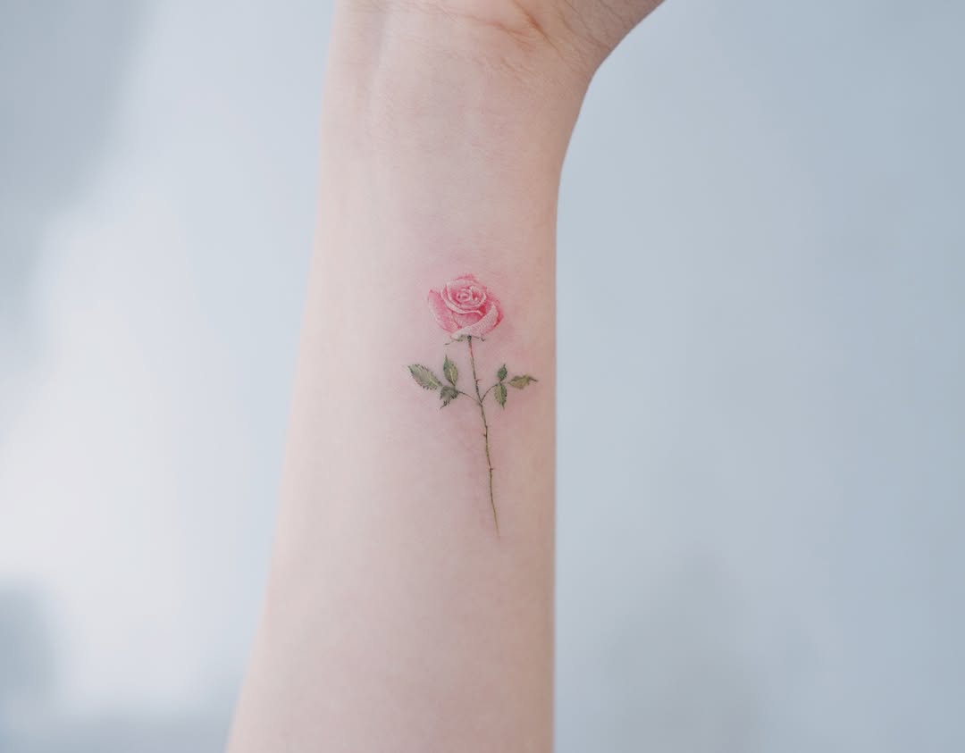 Rose, Flower