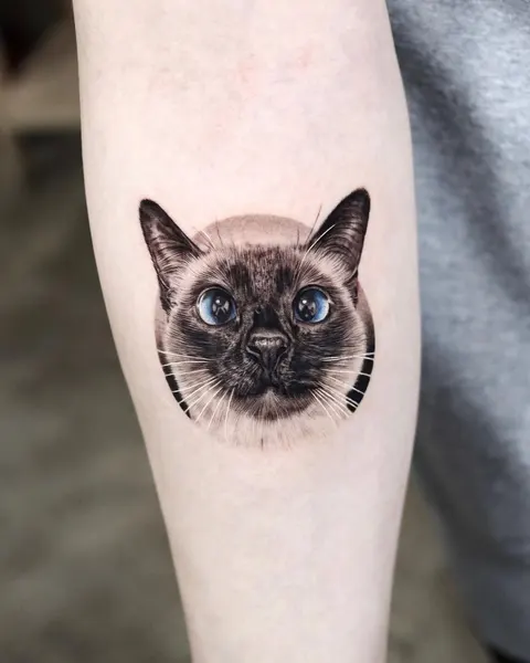 고양이