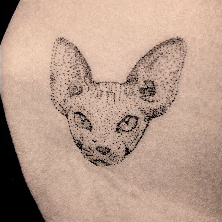 Animal