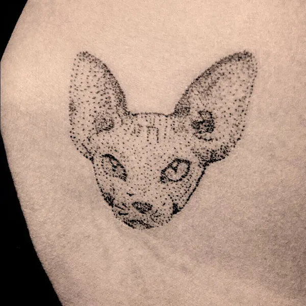 Animal