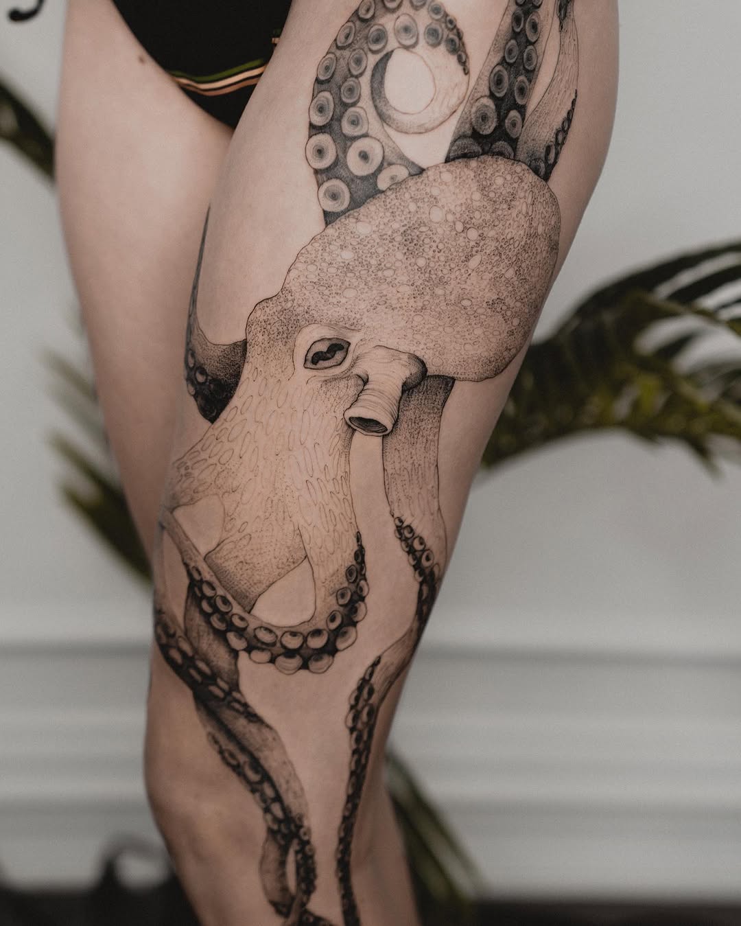 Animal