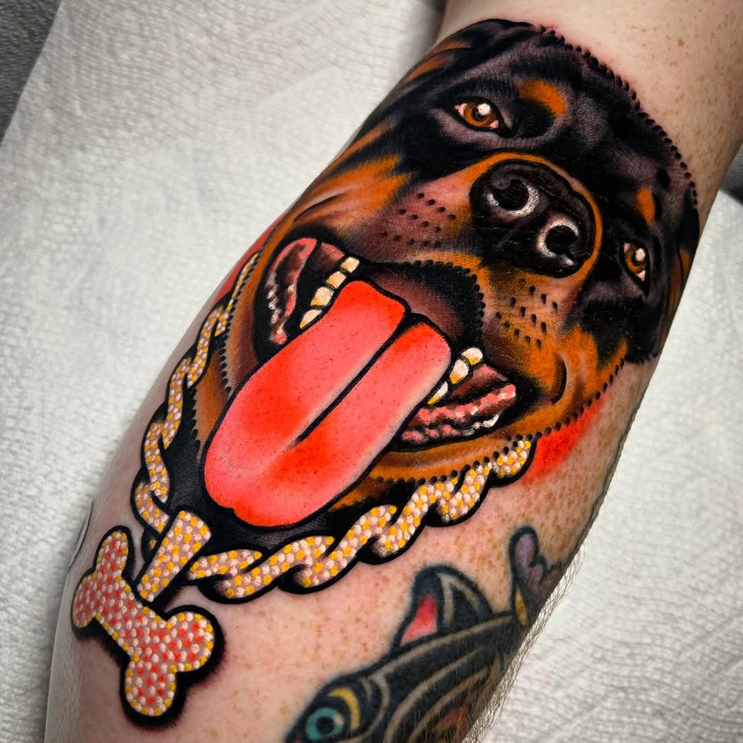 Animal