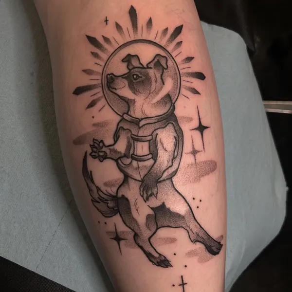 sarastigmata