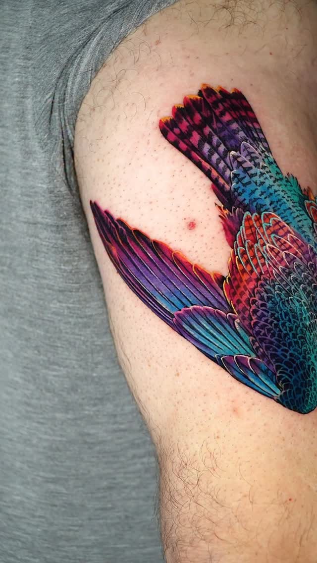 Animal