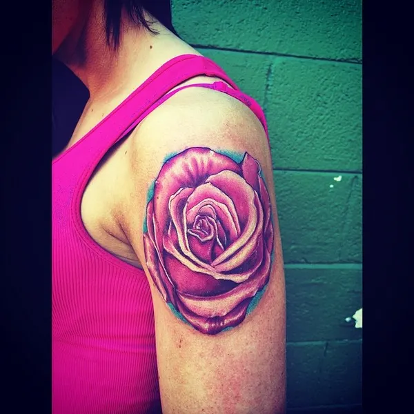Nature, Flower, Rose
