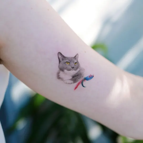 고양이, 반려동물, 마네키네코, 여우 가면
