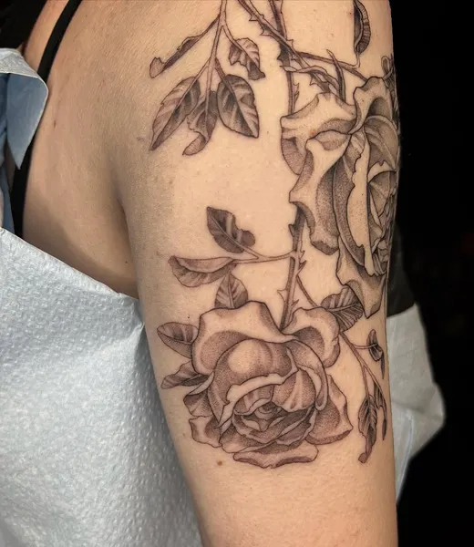 Flower, Rose