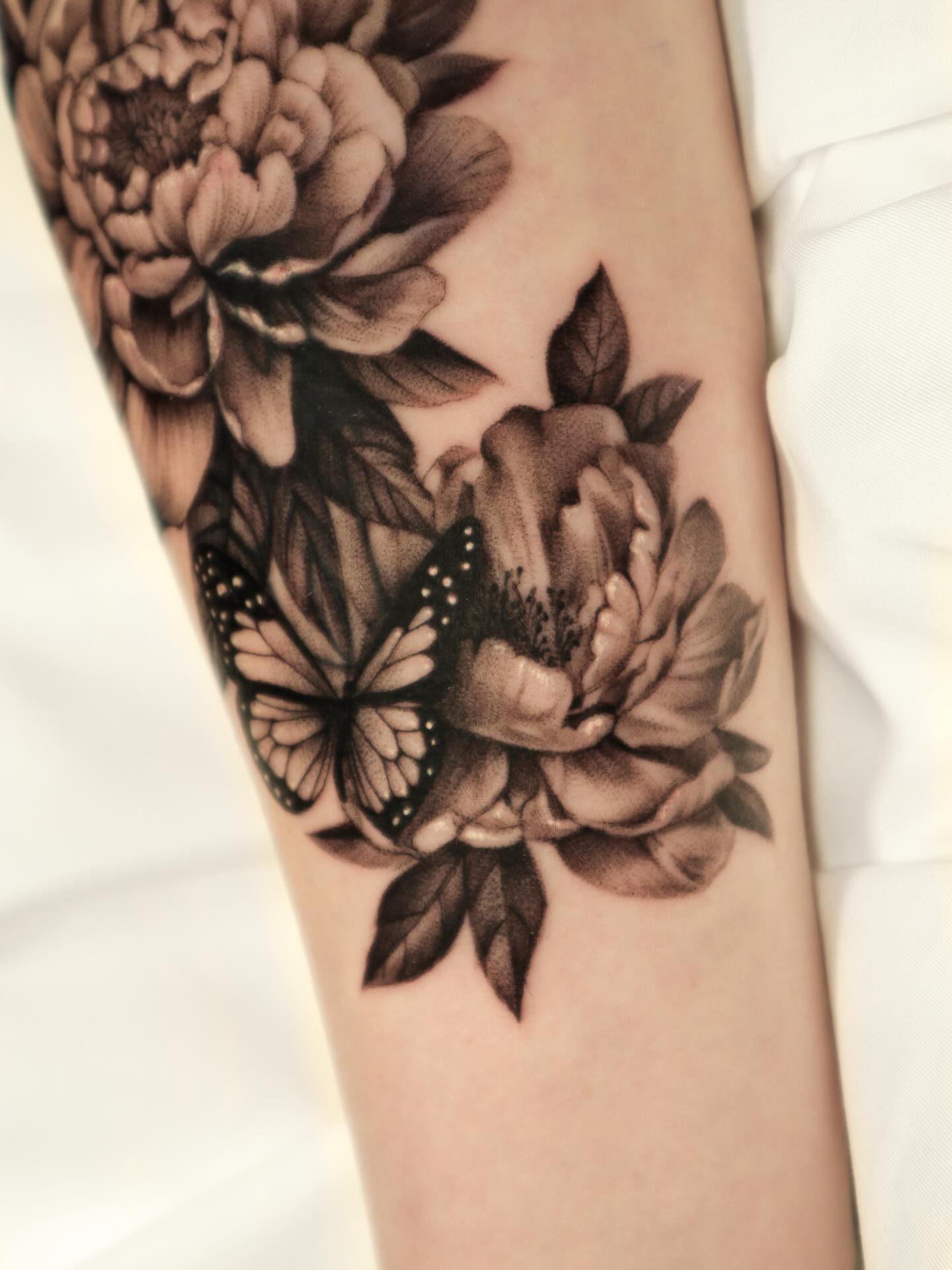 Flower, Rose, Nature, Animal